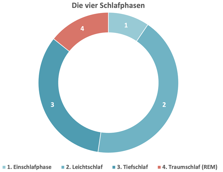 Die 4 Schlafphasen