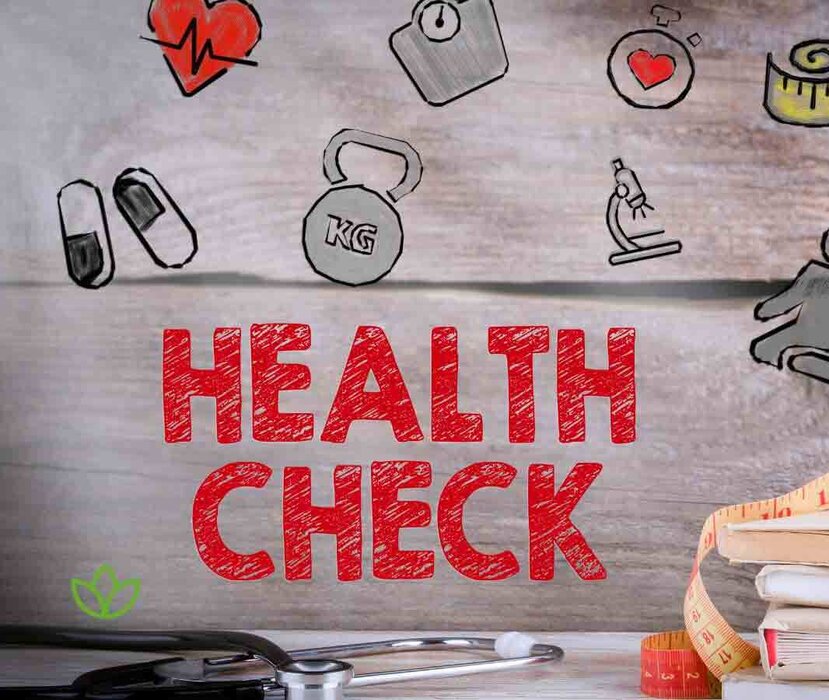 Gesundheits Check