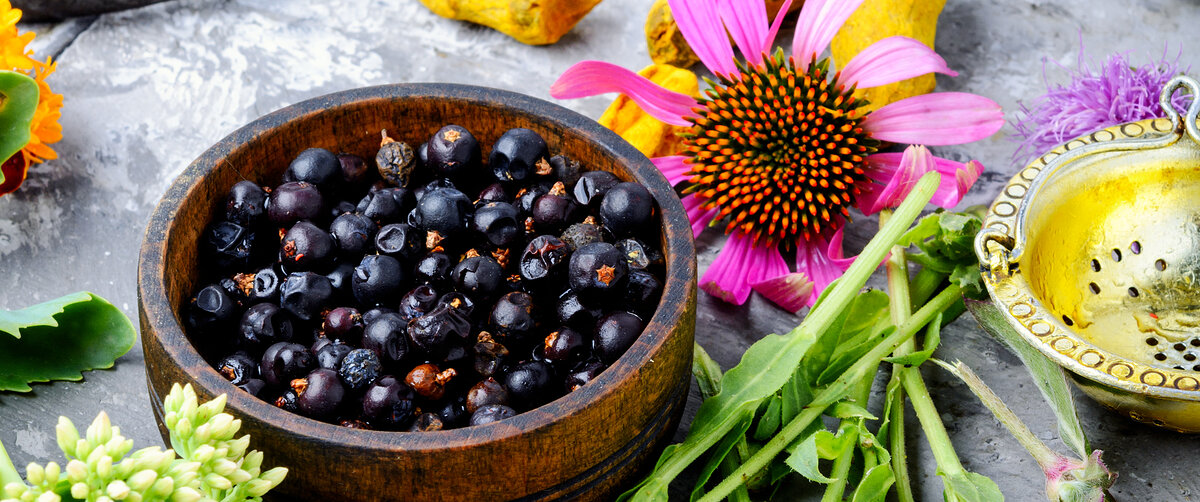 Beeren und Blüten